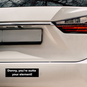Lebowski Bumper Sticker - Donny You're Outta Your Element-002