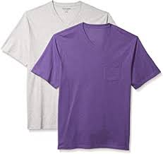 Dude's Purple V-Neck T Shirt